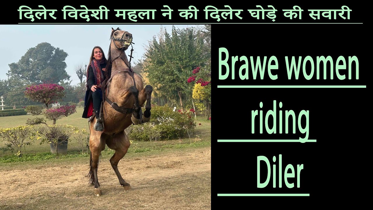 दिलेर विदेशी महला ने की दिलेर घोड़े की सवारी  brave women riding Diler at long riders ranch