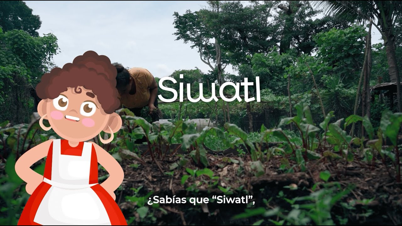 ¿Qué es Siwatl?