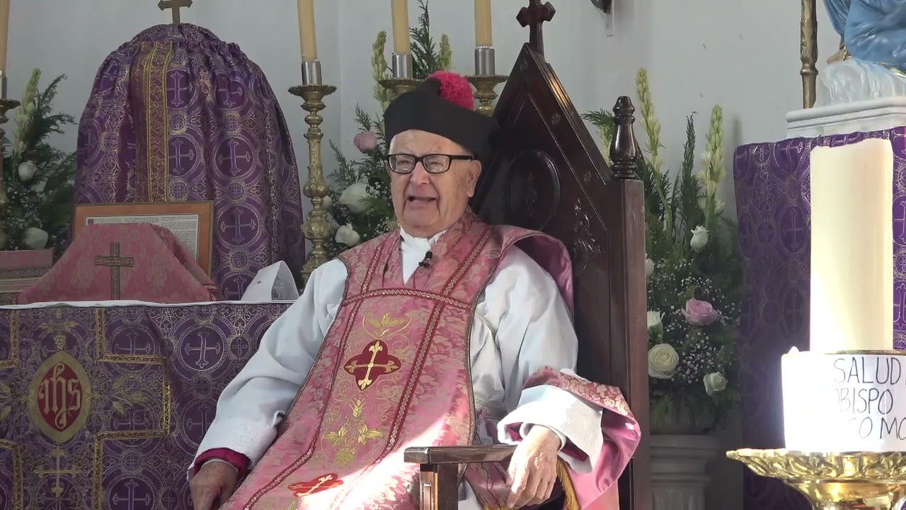 1606-El hacha para cortar el árbol malo. Jovenes al sacerdocio. Resistir el mal