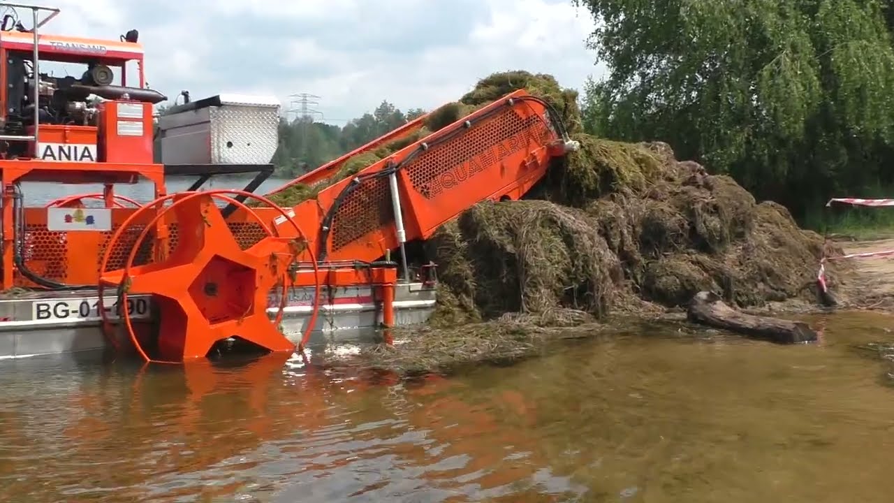 Koszenie Zalewu ;  Nakło   Chechło Czerwiec 2022