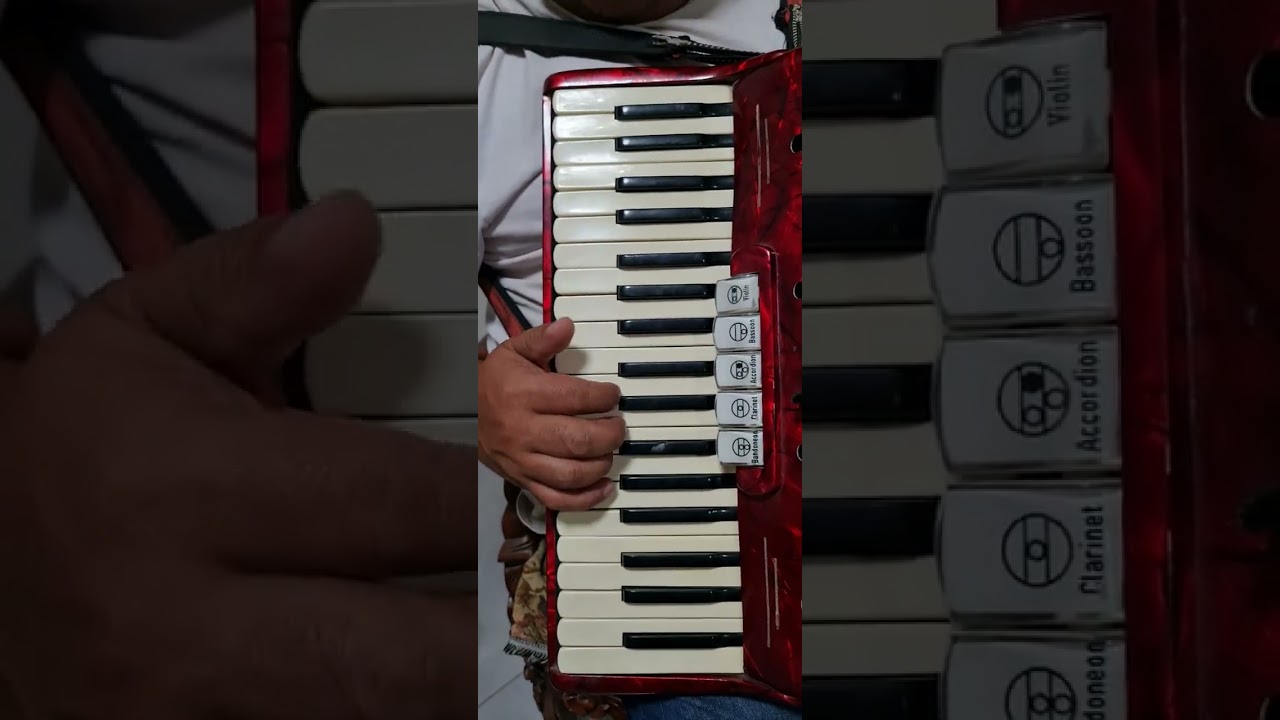 Tutorial [Huapango Patito Patito/Cadetes de Linares]En Acordeon de Teclas