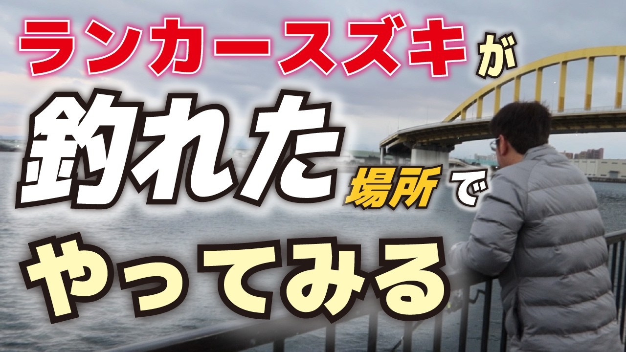 何故か場所を語らずランカースズキを狙ってみる