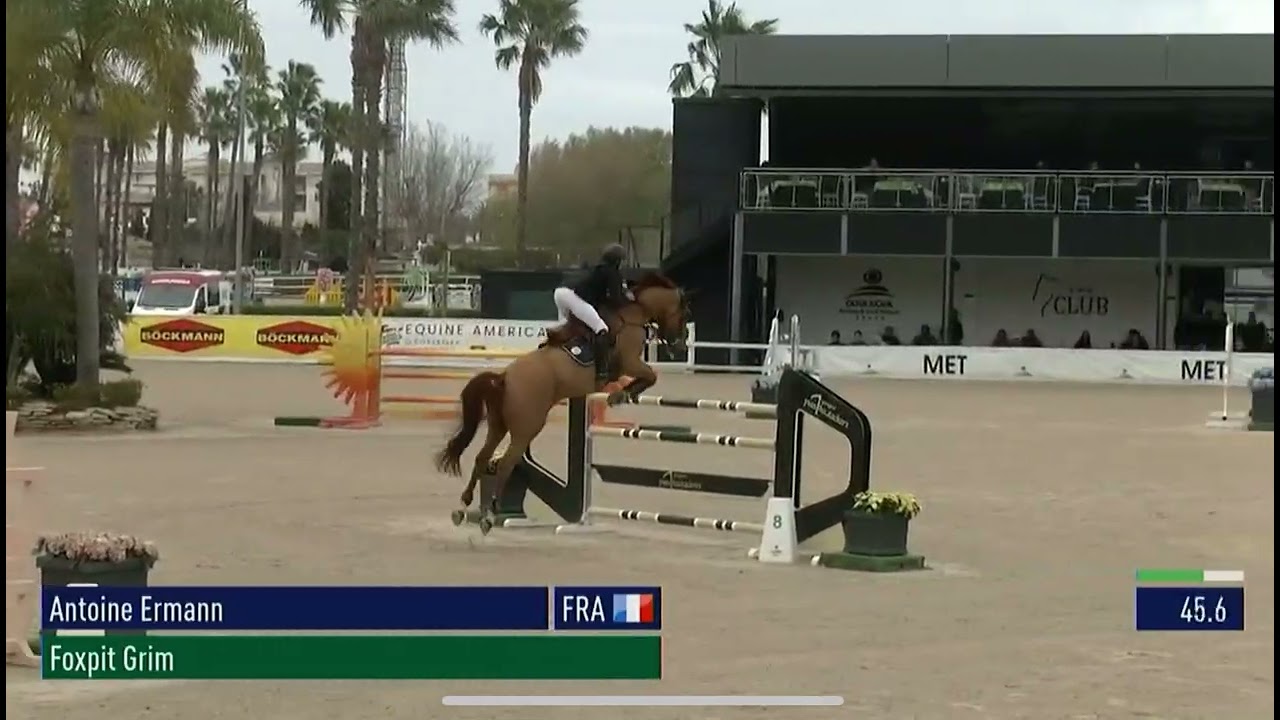 Foxpit Grim - MET Oliva - Gold Tour 1.45m
