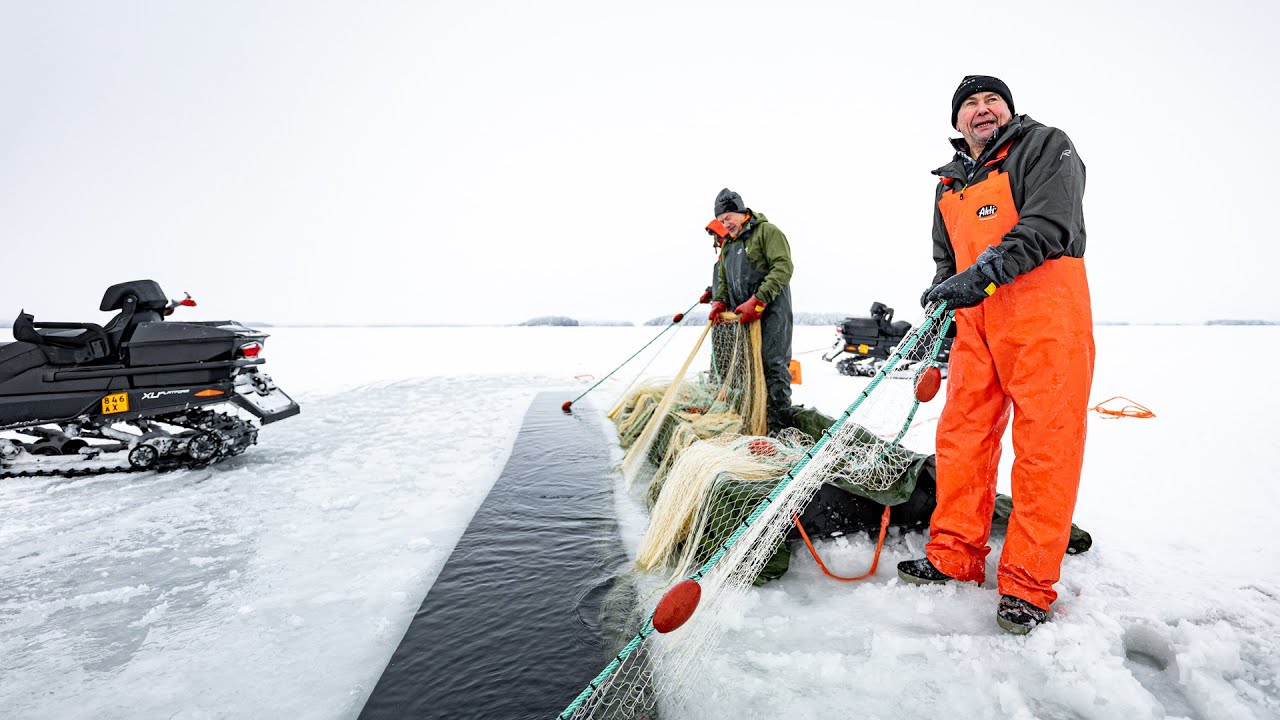 Muikun talvinuottausta Puruvedellä - Winter fishing at Lake Saimaa with Heikki Makkonen