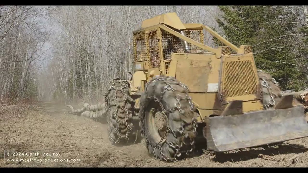 Logging for Habitat Improvement (Clark Skidder)