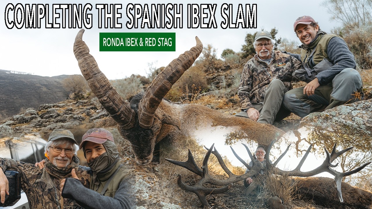 Completing The Spanish Ibex Slam   Ronda Ibex & Red Stag | Camino Real Hunting Consultants