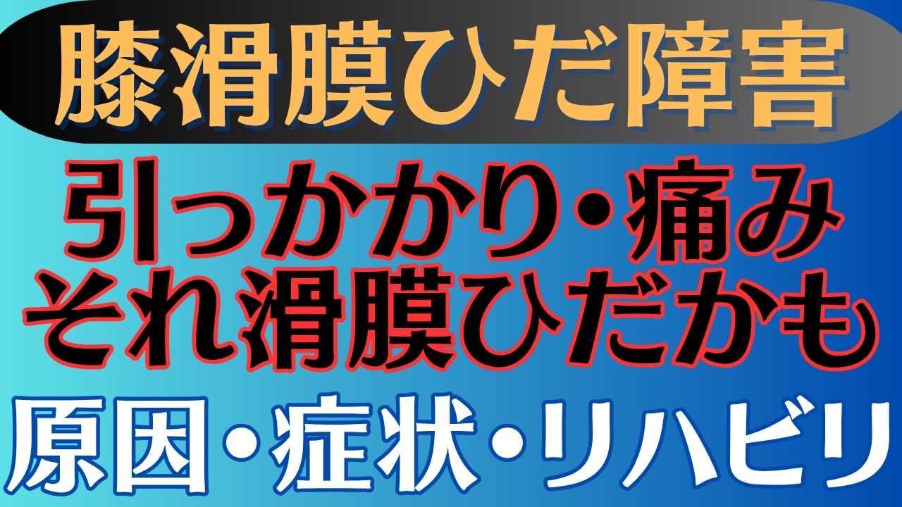 【引っかかり•痛み•ロッキング】膝滑膜ひだ障害 症状とリハビリ方法