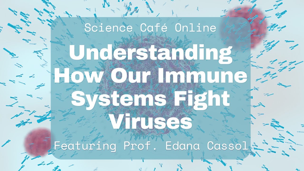 Science Caf&eacute; Online &ndash; How Our Immune Systems Fight Viruses