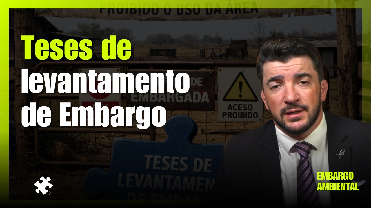 Teses de levantamento de Embargo