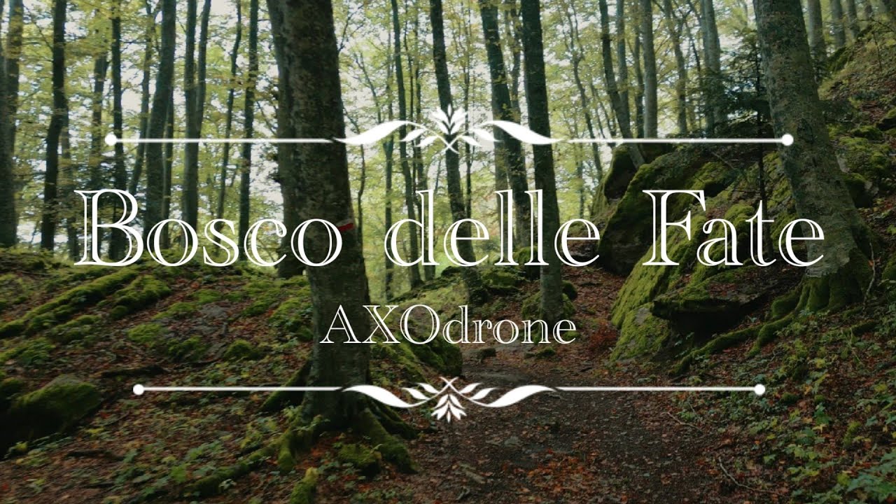 BOSCO DELLE FATE | Dji mini 3 pro | 4K