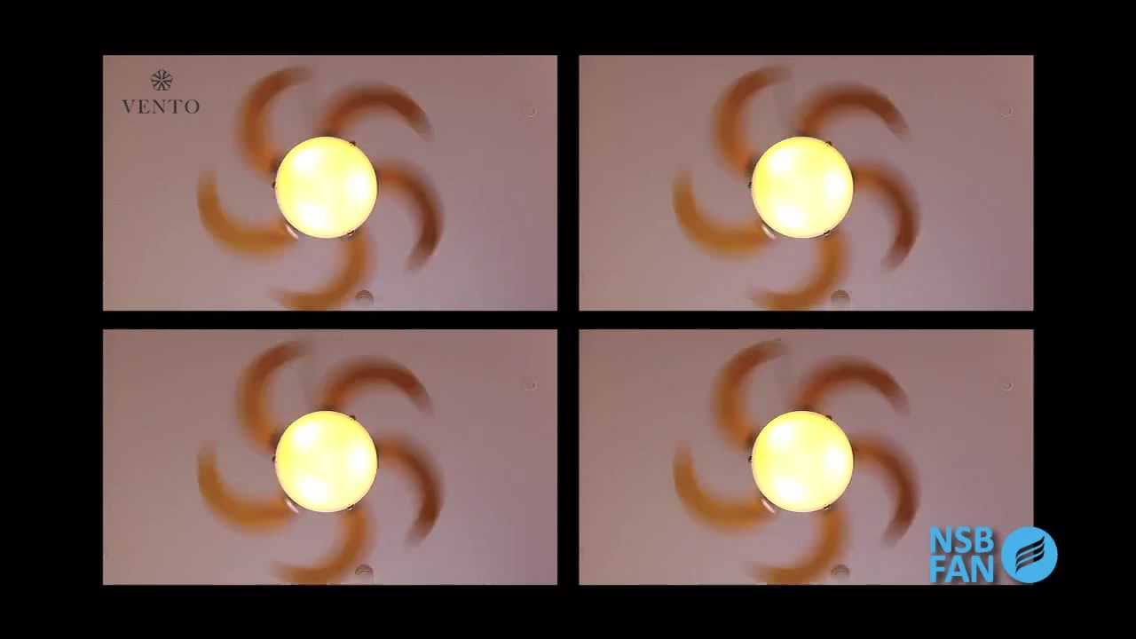 Vento Fan by NSB Fan