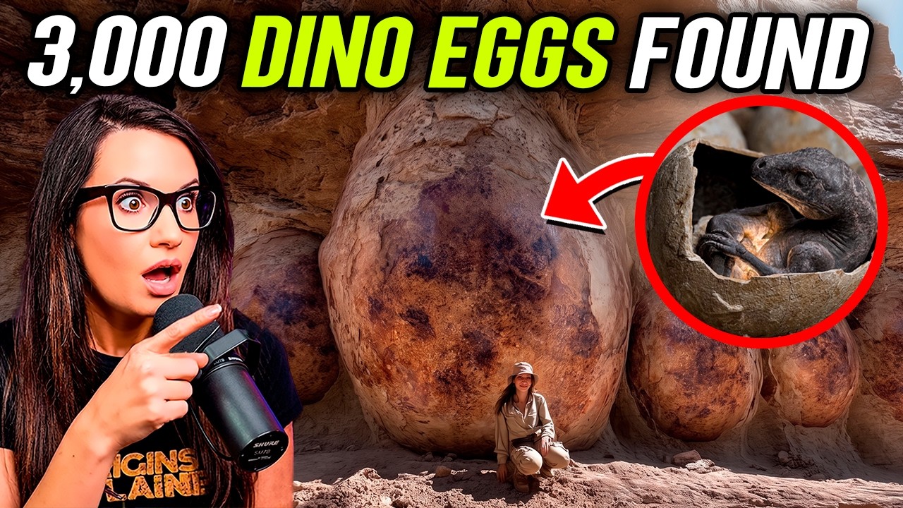 Scientists Discovered 100 Million-Year-Old Dinosaur Eggs!