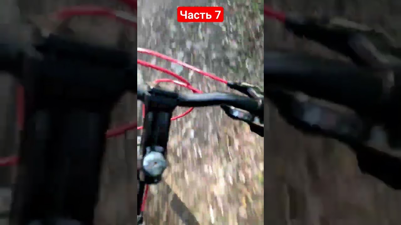 Найшли трампліни в лісі😱#рекомендации #рек #покатушки #велтик
