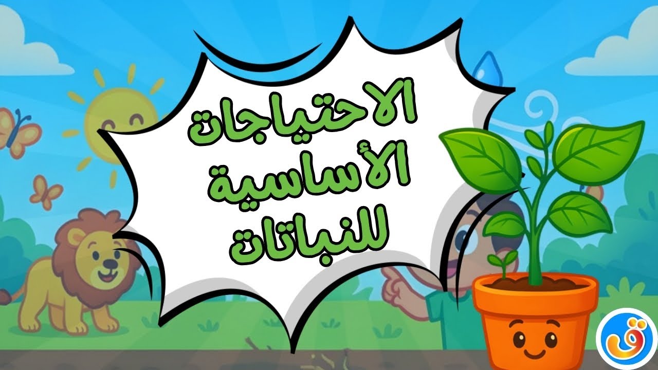 الاحتياجات الأساسية للنباتات | العلوم للأطفال