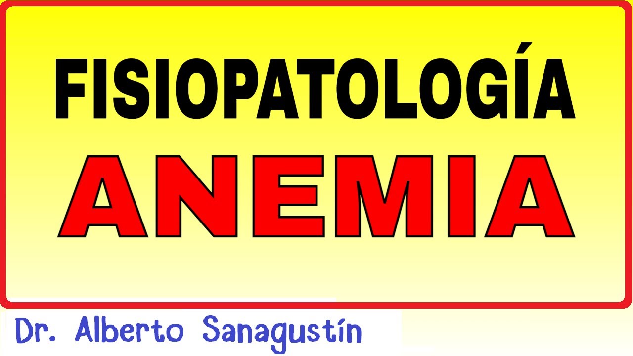 FISIOPATOLOGÍA de la ANEMIA 💥