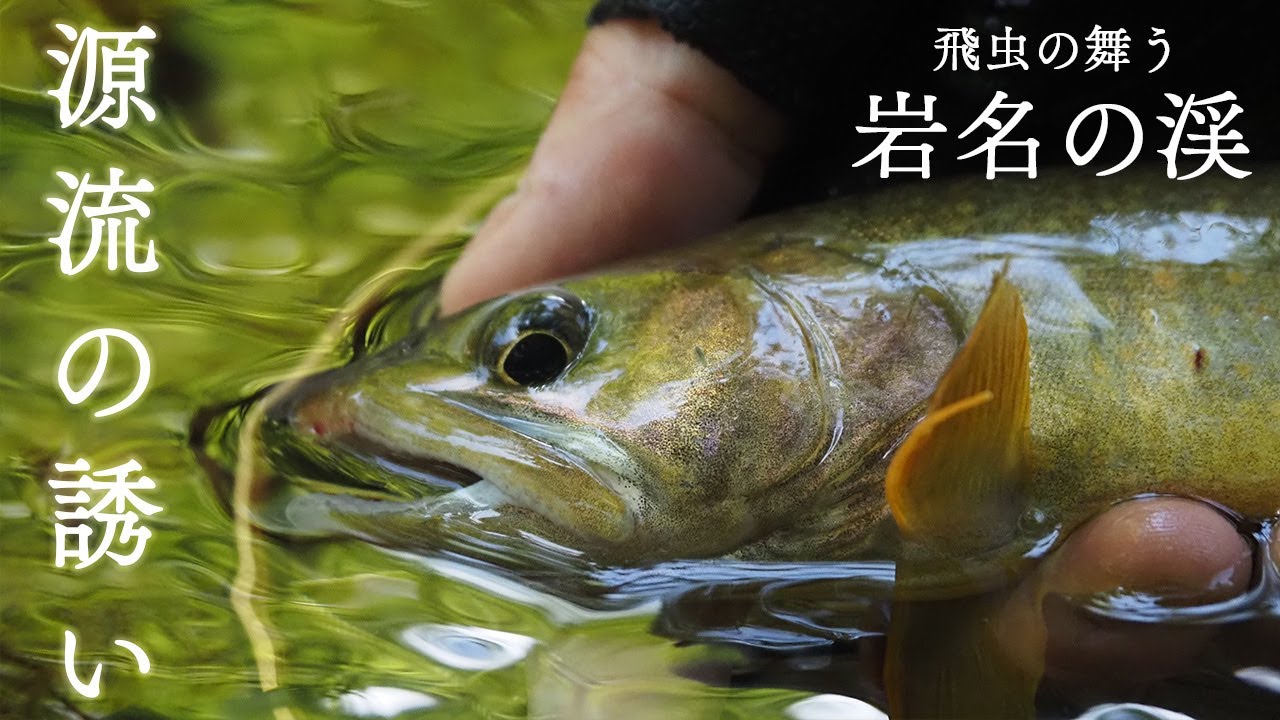 【渓流釣り】源流には非日常が待っている