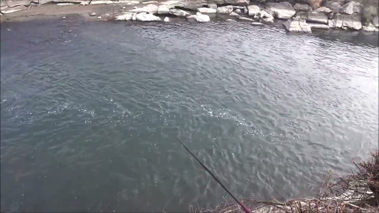 Chi c'è nella buca sotto la cascata?