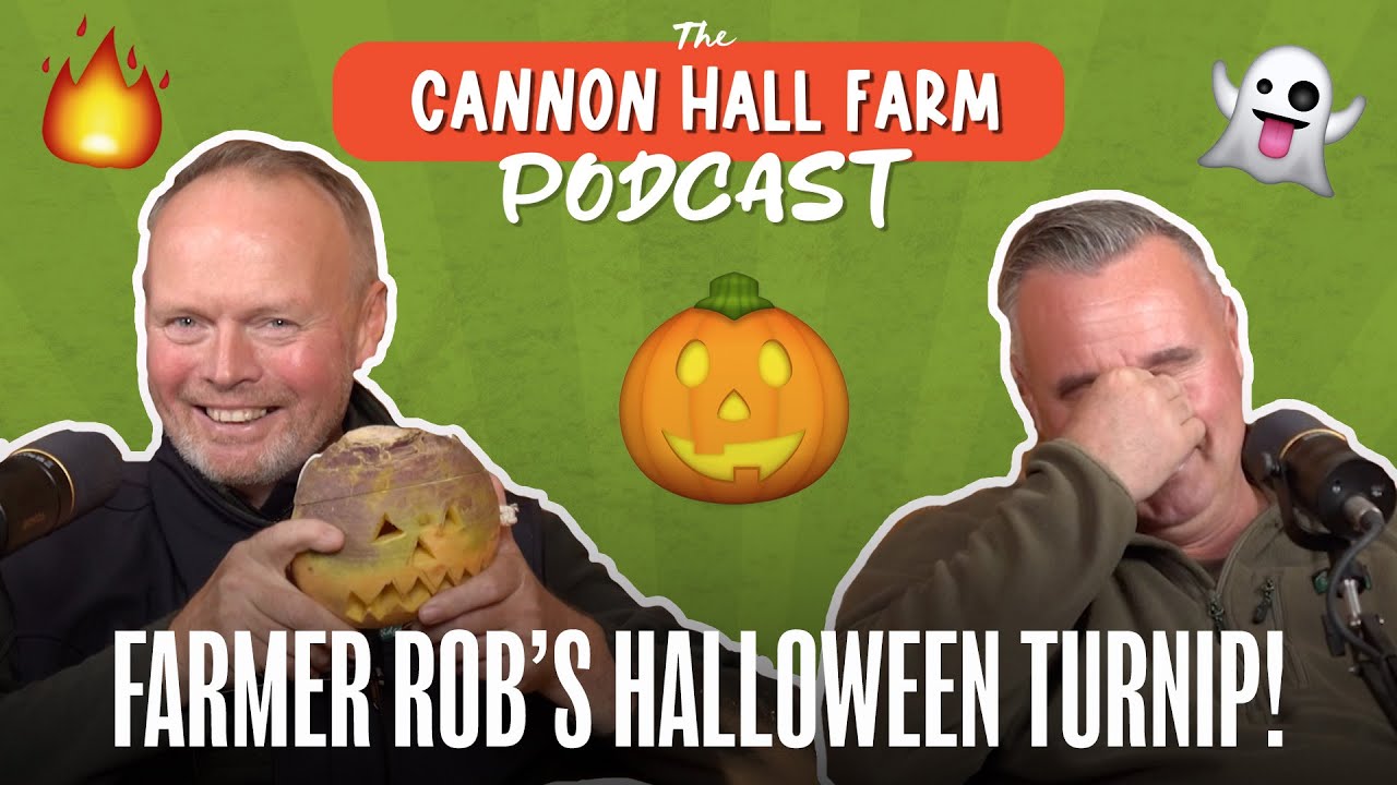 Farmer Rob''s Halloween Turnip and planning for Bonfire Night! 🎃