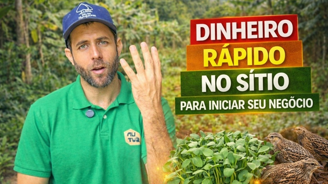 Como GERAR RENDA no campo (curto, m&eacute;dio e longo prazo)