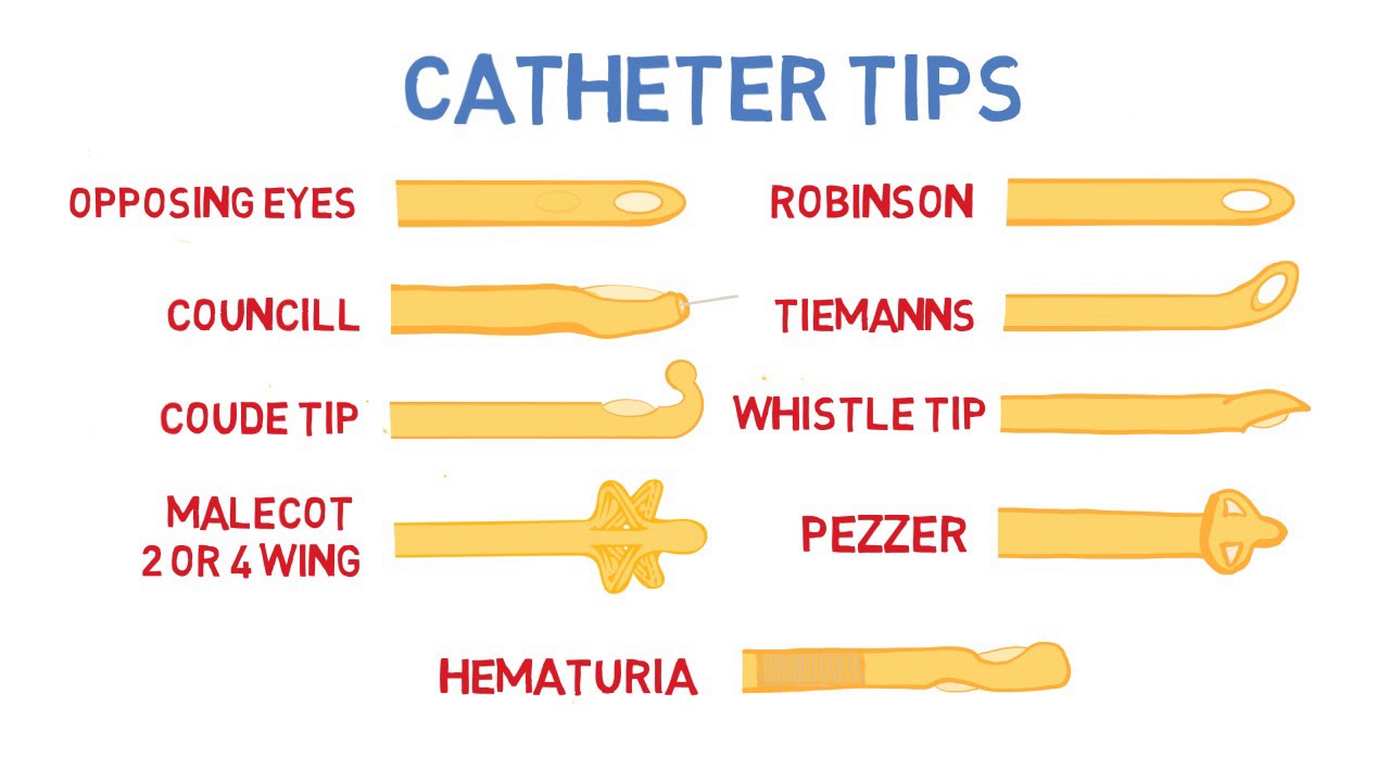 Introduction to Urinary Catheters