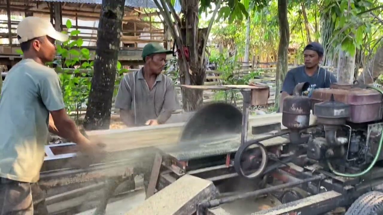 Menggesek kayu jati yang sudah di keringkan dengan gergaji serkel rakitan 
