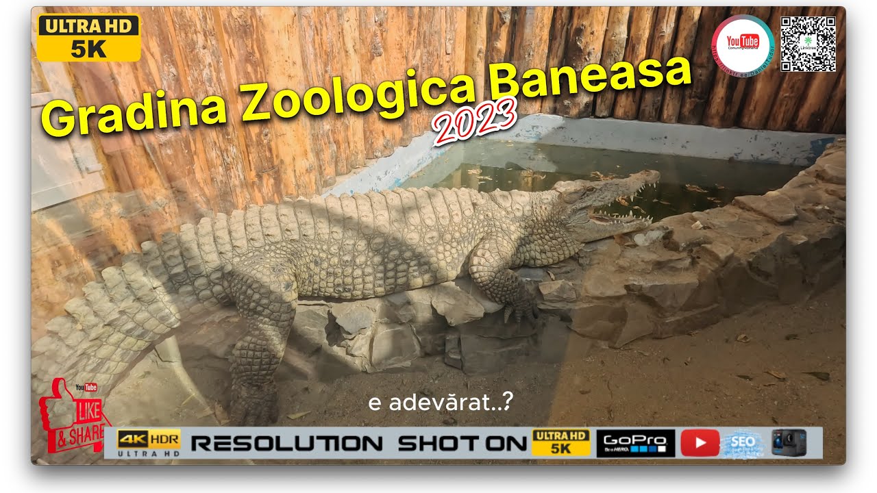 Gradina Zoologica 5K | Baneasa-Bucuresti | Visiting Zoo 2023