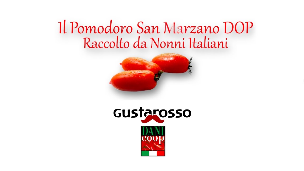 SAN MARZANO DOP Gustarosso Danicoop