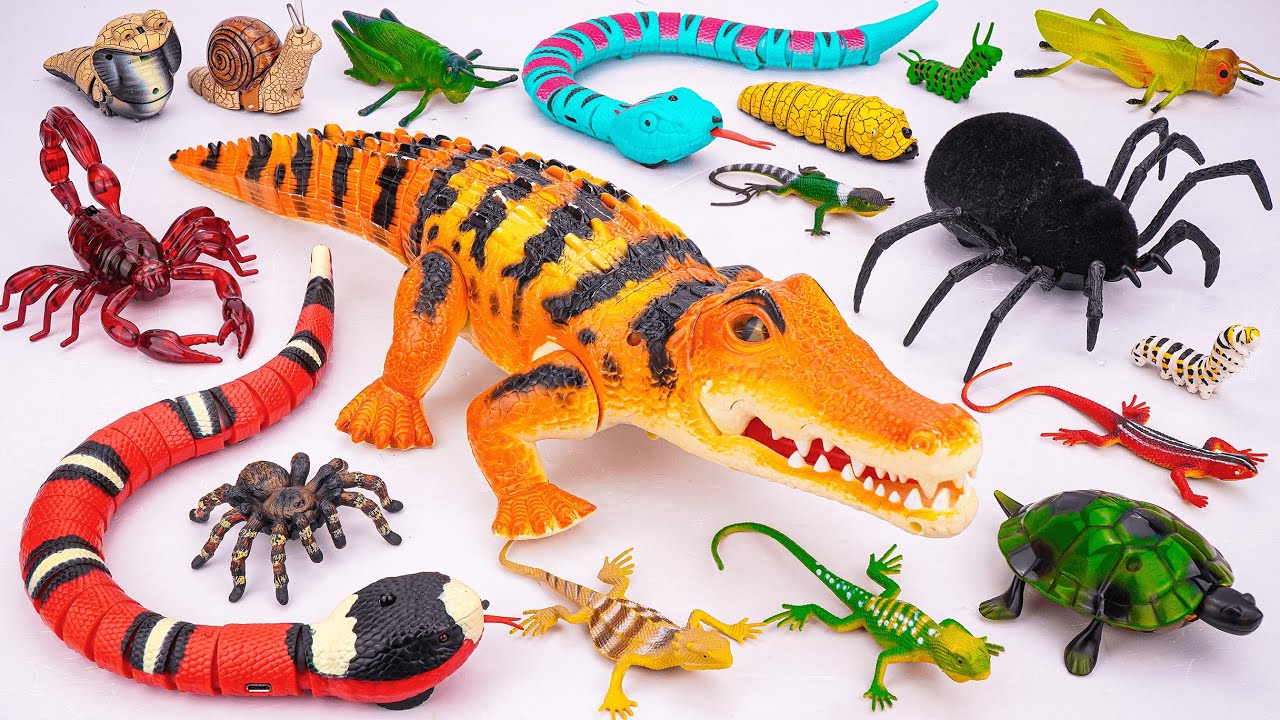 ZURU ROBO ALIVE COLLECTION | UNBOXING Robo Crocodile, Black Spider, RC Snake Creepper ASMR