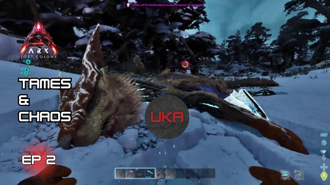 Прирученные существа и хаос [с участием Дикфельда и СаллиисзеАнс] | Ark Survival Ascended: Затеря...