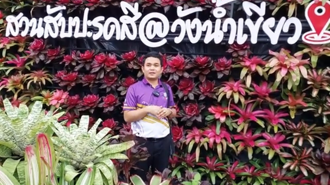 จิบกาแฟ แลสับปะรดสี ที่สวนสับปะรดสีวังน้ำเขียว