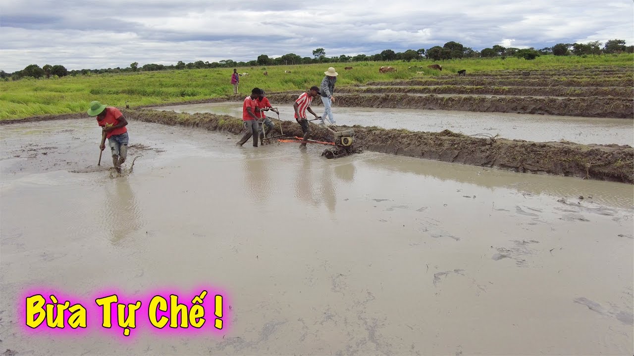 Linh Philip || C&ocirc;ng Việc Thường Ng&agrave;y Trong Việt Phi Farm !