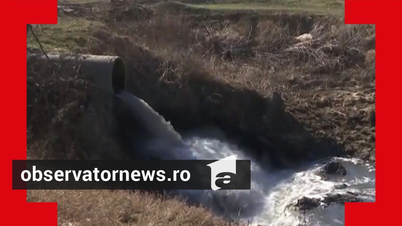 Milioane de euro, pentru o investiție abandonată. Staţia de epurare din Lugoj, apă plină cu dejecţii