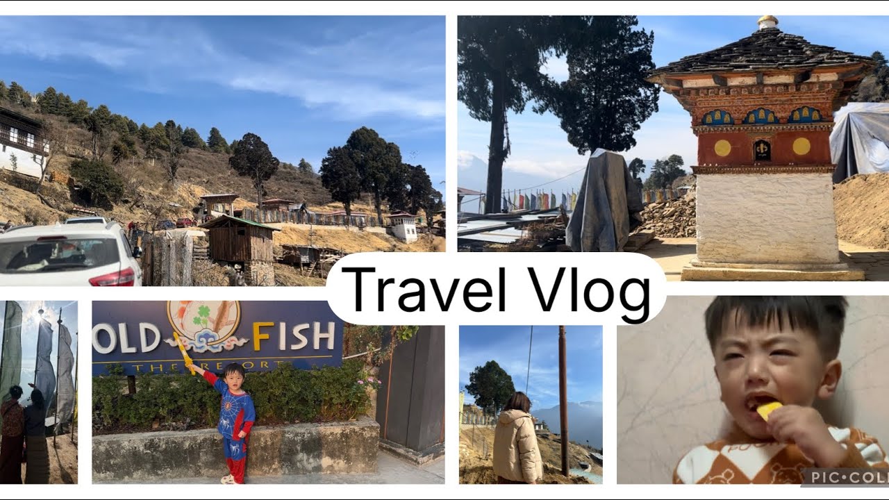  Travel Dairies | It’s All About Travel and Fun😍🌸