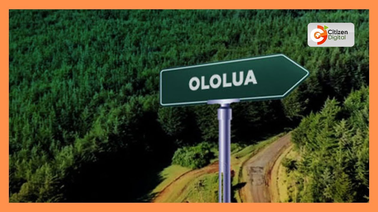Kajiado residents hold protests over attempts to grab over 50 acres of Ololua forest land