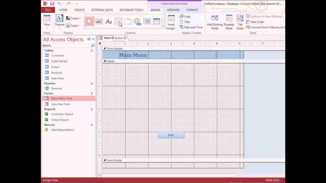 Access: Embedded, Data and Stand-Alone Macros