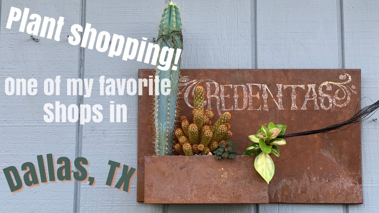 37: Plant Shopping With Me - Redenta's Garden Shop, Dallas Texas