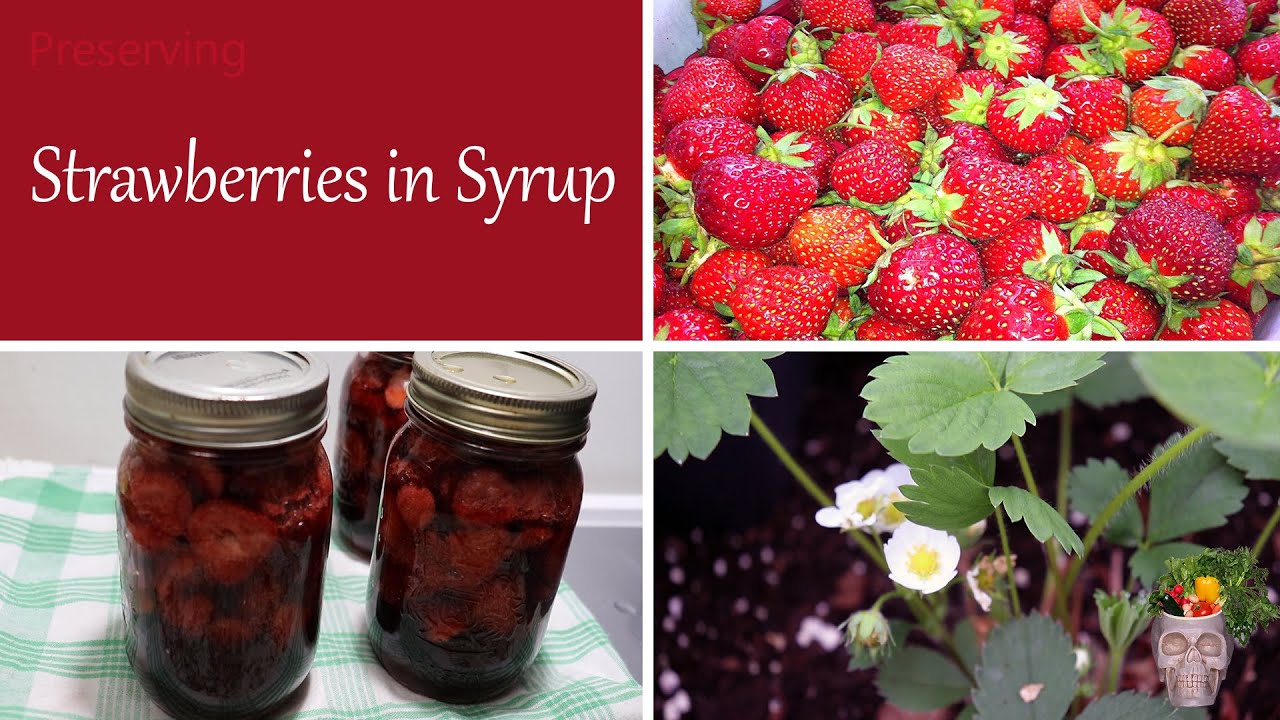 Preserving Strawberries Made Easy: Beginner's Guide