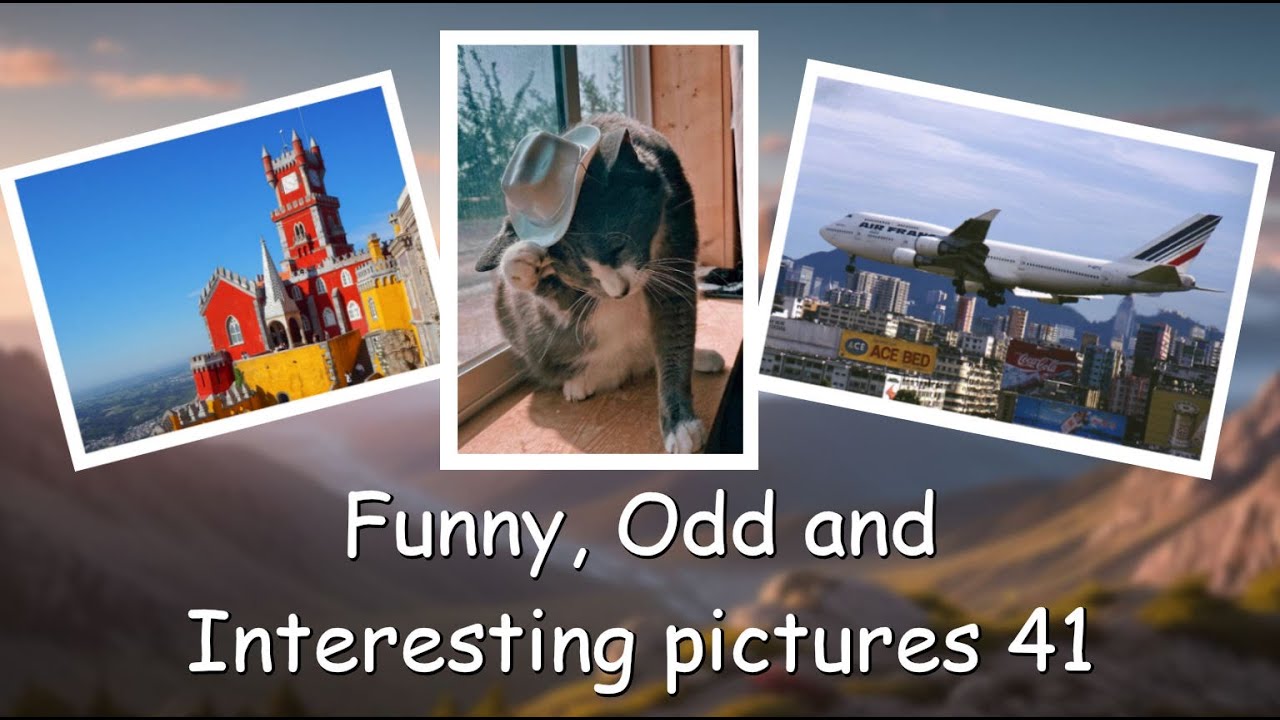 Funny, Odd, Interesting Pictures Video 41