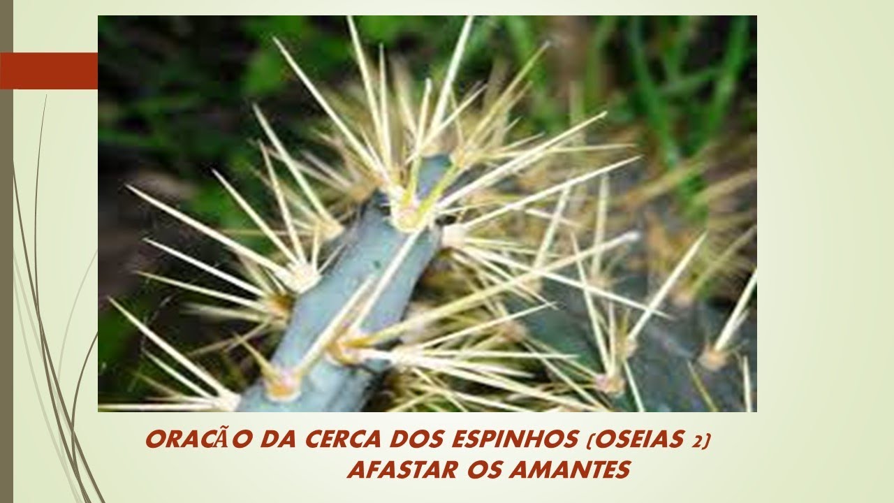 Oração de Oseias . Cerca de espinhos . Separar seu cônjugue das amantes .