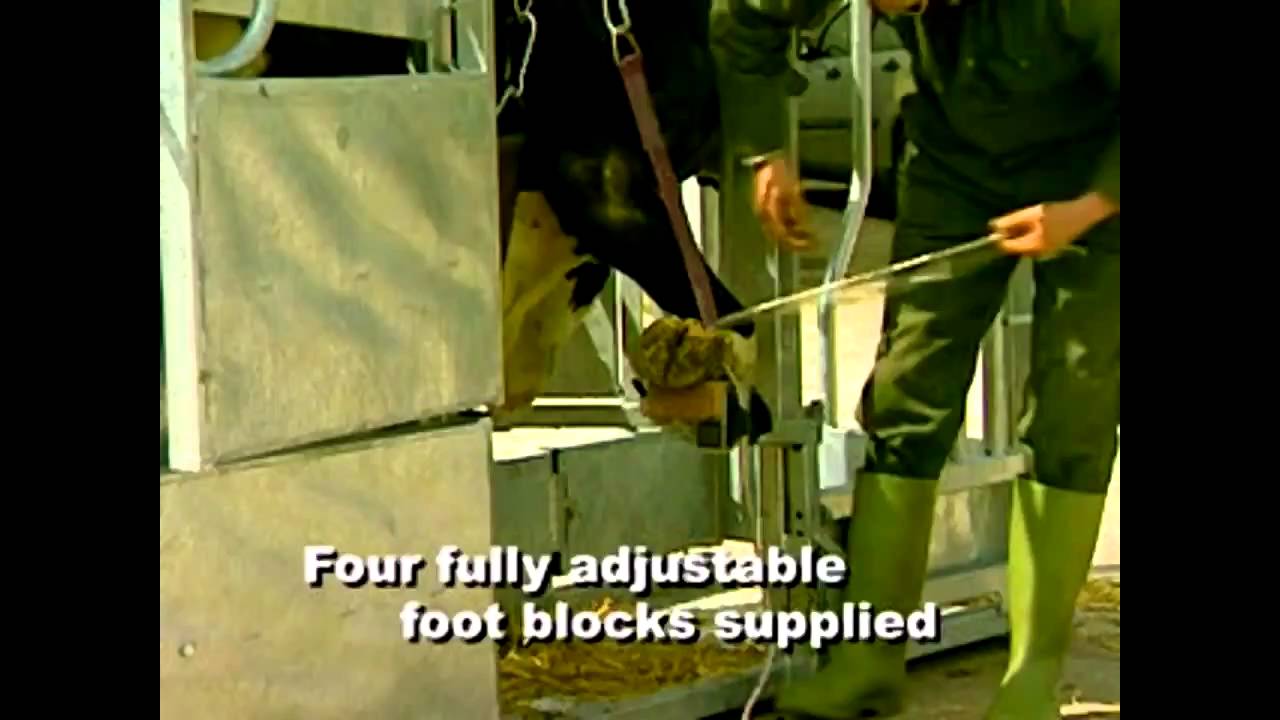 IAE Clamp on Foot Trimming Attachments