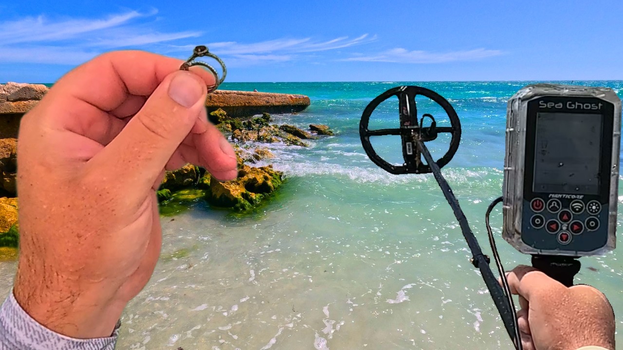 This Beach was FULL of Rings!