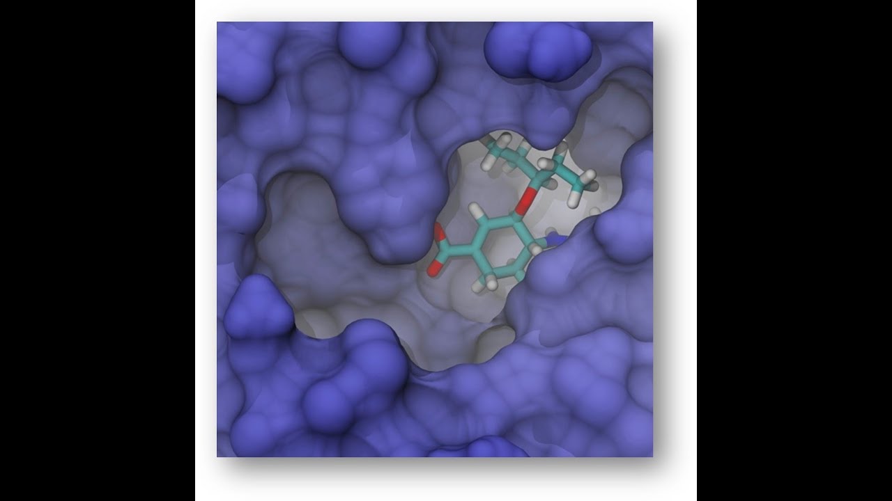 Tools and techniques in small-molecule structure-based drug discovery - Prof. Jacob Durrant, U Pitt