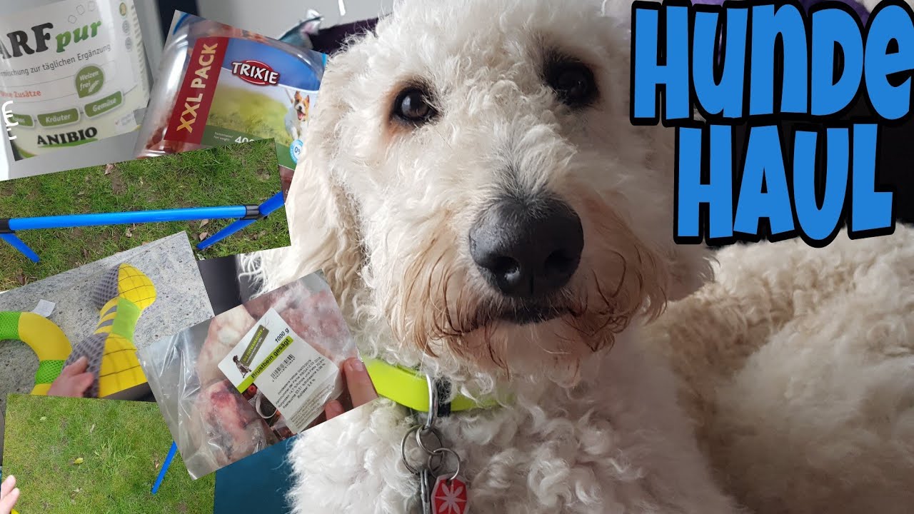 Hunde Haul🐶Fressnapf ,ALDI,Zookauf