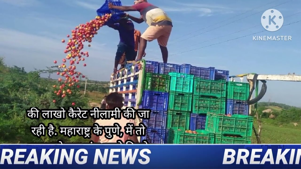 Today news! Maharashtra news! Local news , india news