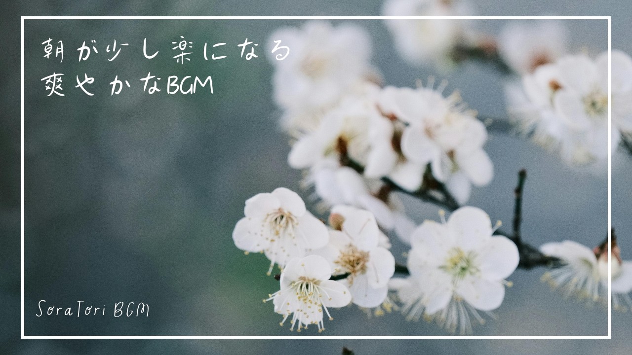 【BGM】朝が少し楽になる 爽やかな | やさしいピアノと光 | 朝のリラックス時間【途中広告なし】