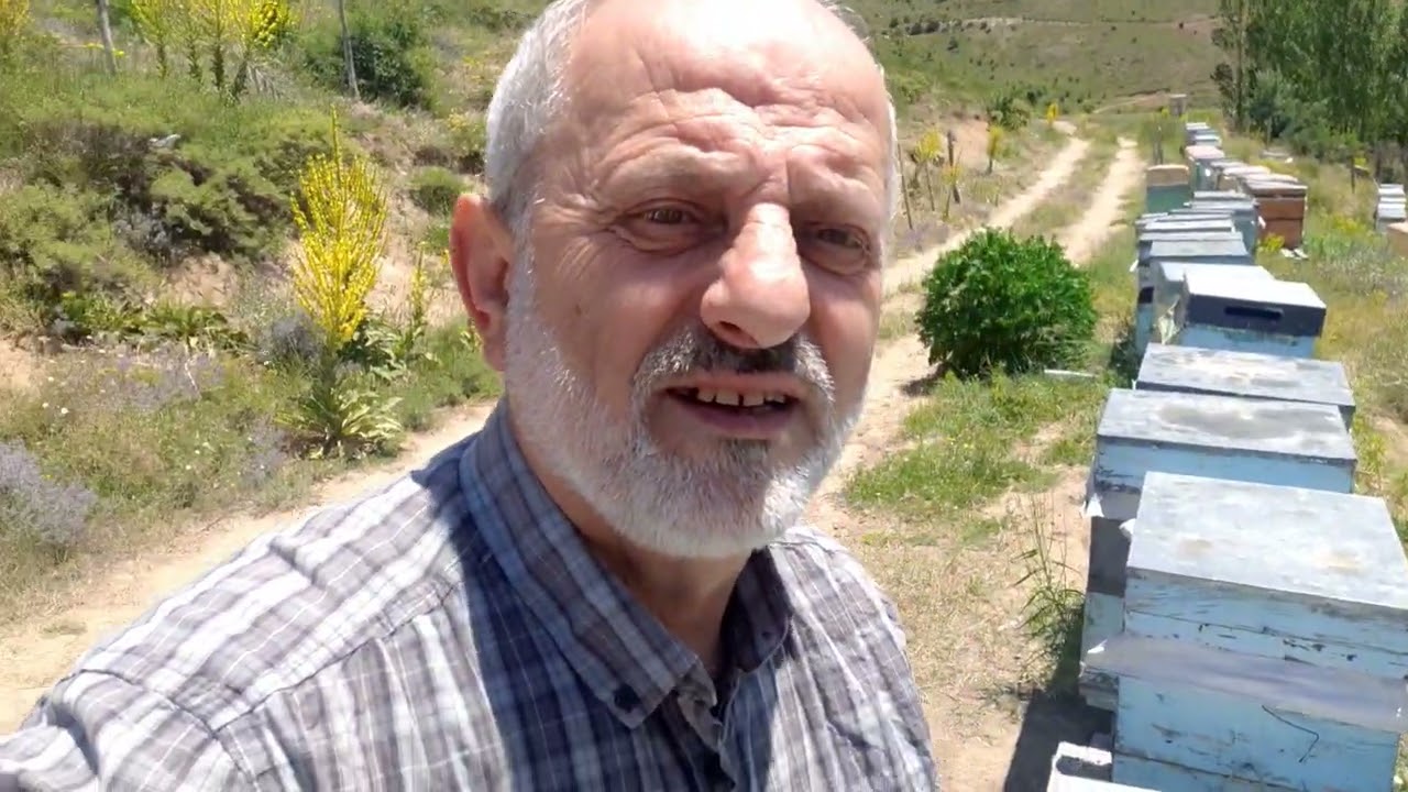 Kestane balı sağımı. kolay sağım.🙂