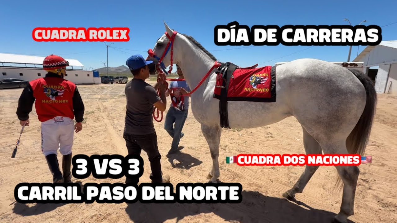 DÍA DE CARRERAS EN EL CARRIL PASO DEL NORTE 🐴