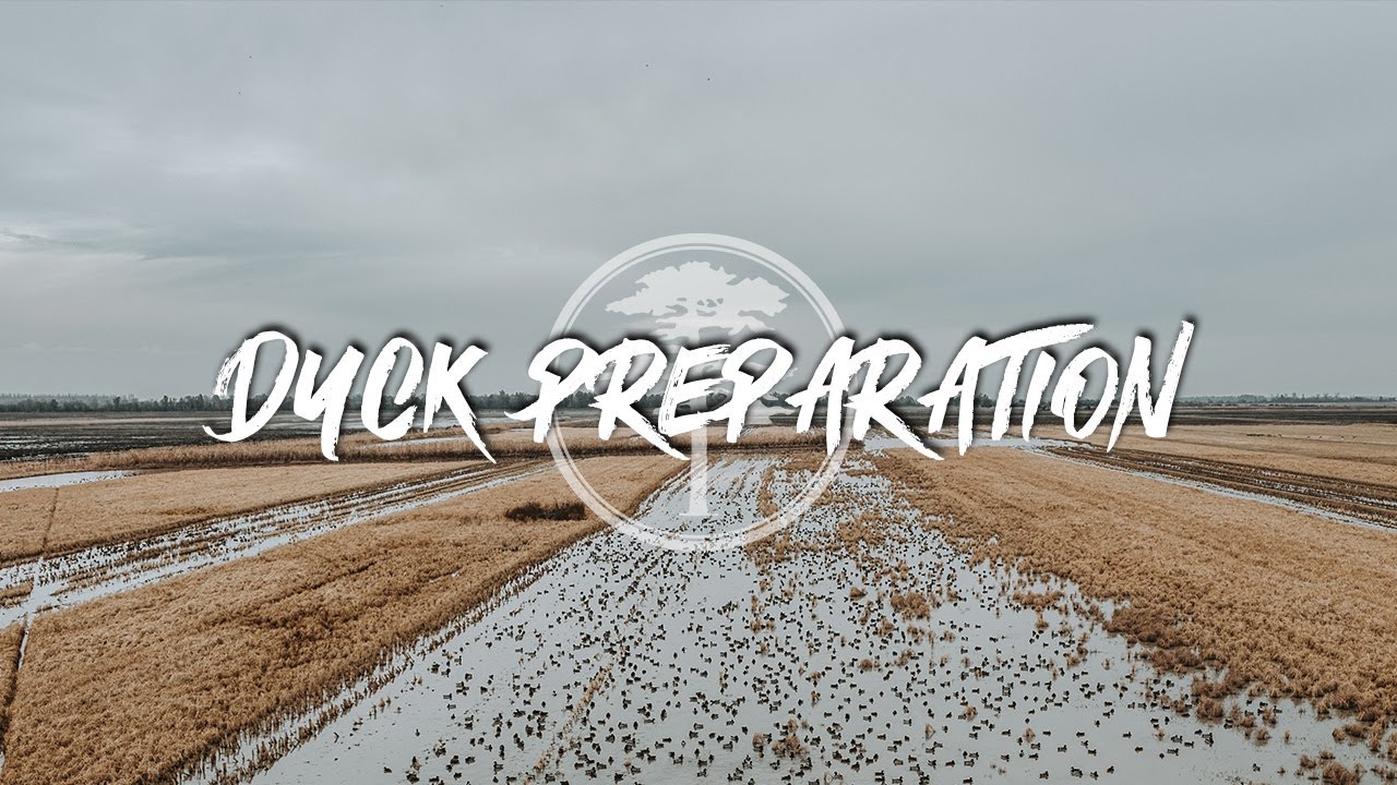 Охота на уток — подготовка к сезону уток