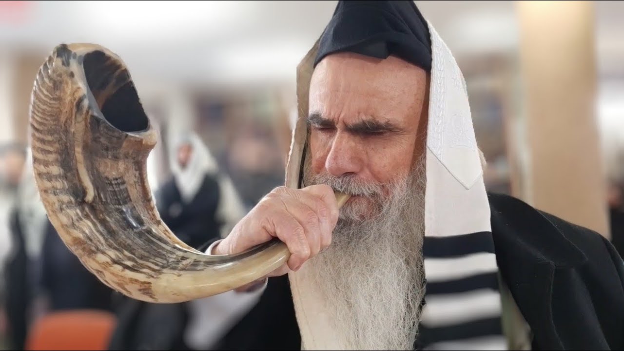 תיקון שובבי