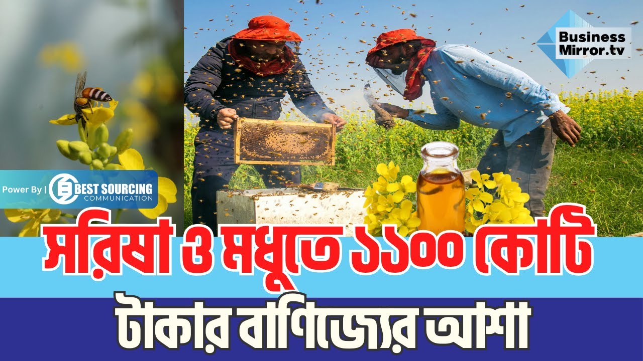 সরিষা ও মধুতে ১১০০ কোটি টাকার বাণিজ্যের আশা | Sirajganj News | Agriculture News